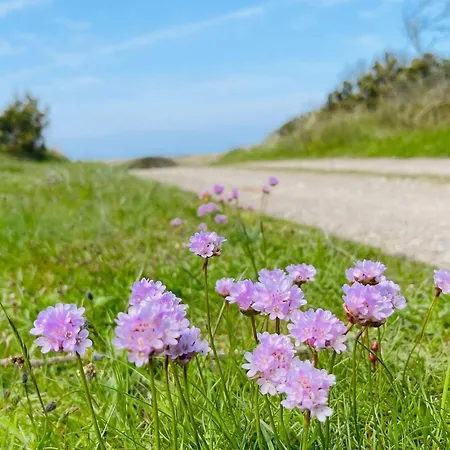 8 Person In Fjerritslev-by Traum